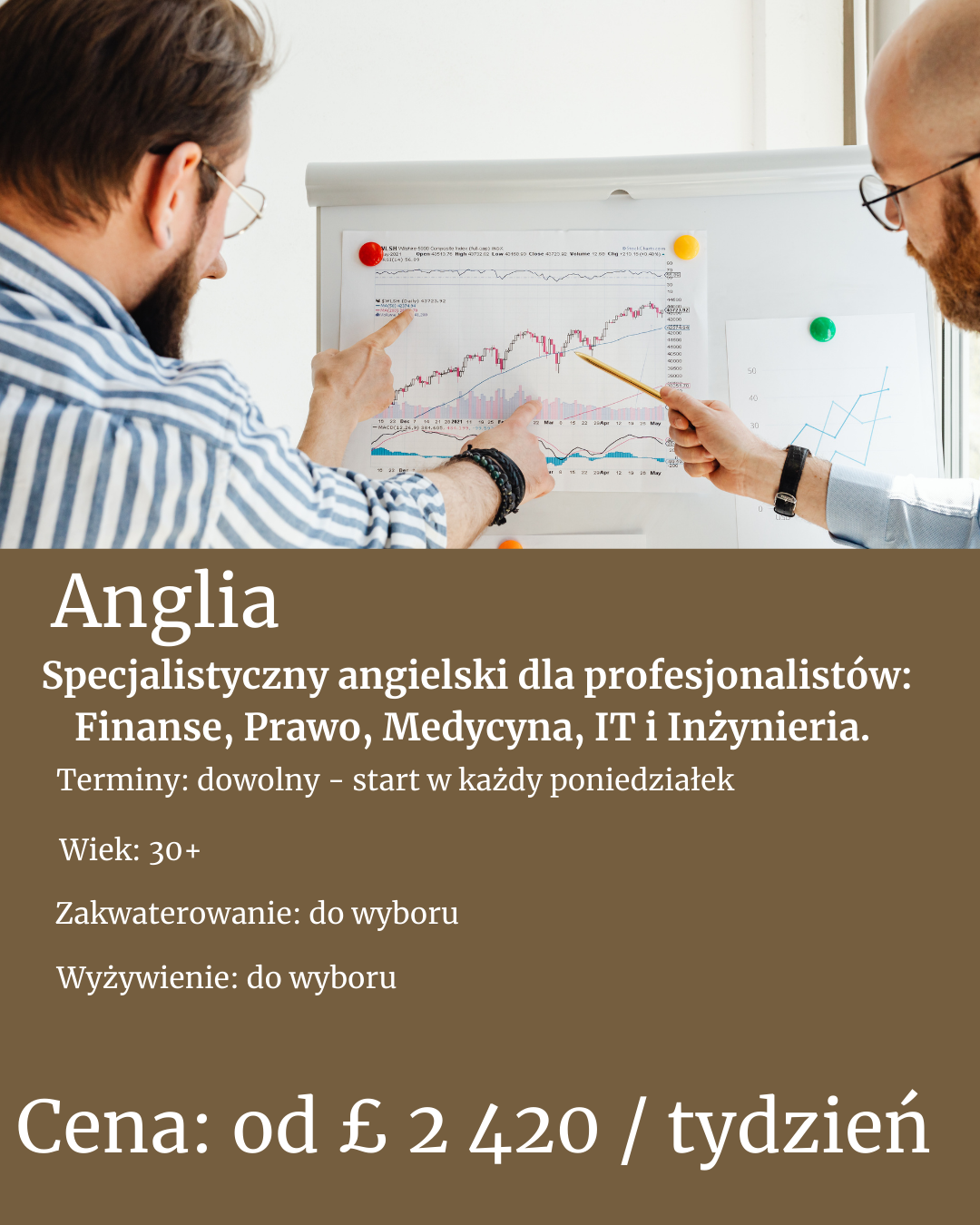 Oferta kursu angielskiego w UK dla profesjonalistów z sektora bankowego, medycznego, IT, finansowego, inżynierów