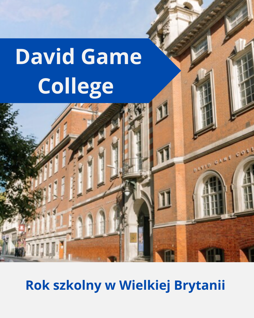David Game College